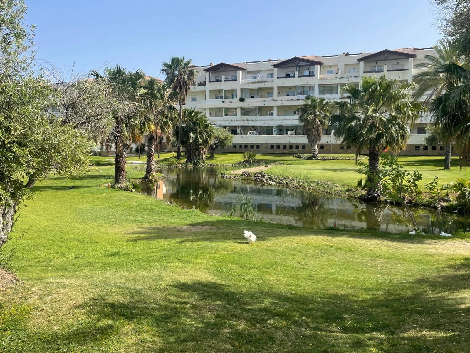 1 soveværelse Lejlighed til salg i Benalmadena med swimmingpool garage - € 263.500 (Ref: 10019323)