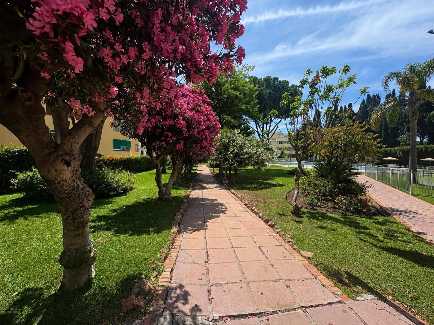Apartamento de 2 habitaciones en Torremolinos en alquiler con piscina - 1.400 € (Ref: 10027379)