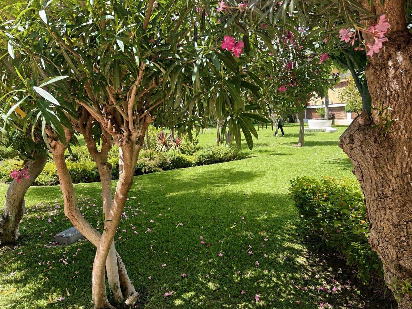 Apartamento de 2 habitaciones en Torremolinos en alquiler con piscina - 1.400 € (Ref: 10027379)