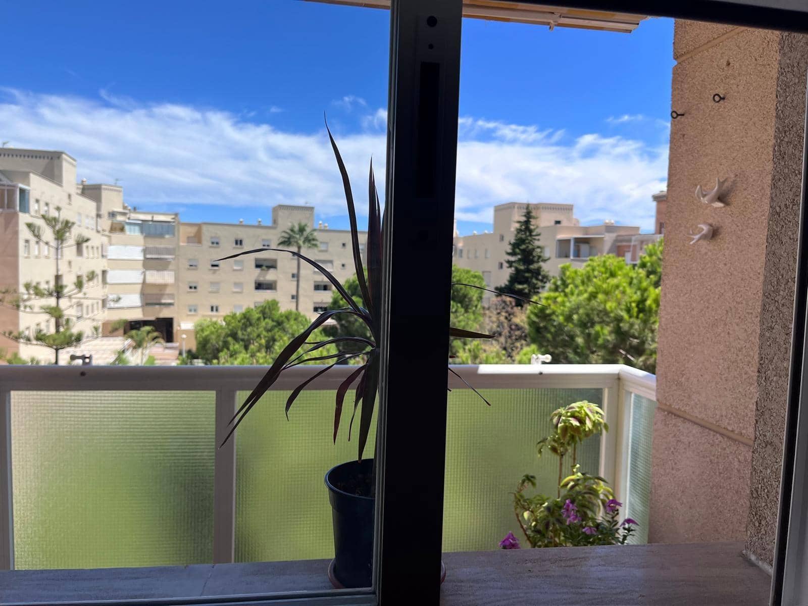 3 Zimmer Apartment zu vermieten in Malaga Stadt mit Pool Garage - 1.600 € (Ref: 10055362)