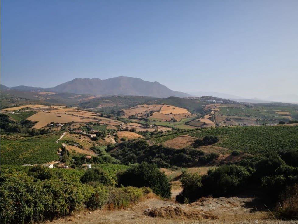 Byggegrund til salg i Manilva - € 385.000 (Ref: 7035506)