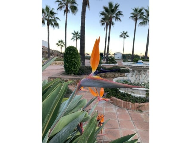 2 soveværelse Rækkehus til salg i Chullera, Manilva med swimmingpool - € 265.000 (Ref: 7730052)