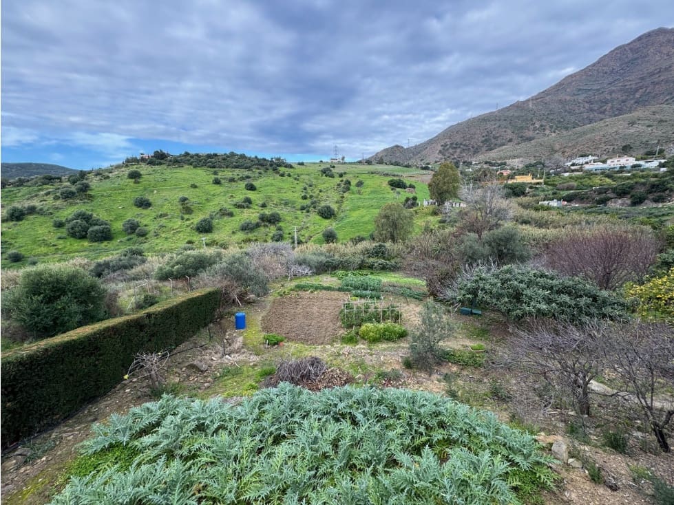 4 quarto Quinta/Casa Rural para venda em Estepona - 590 000 € (Ref: 8829274)