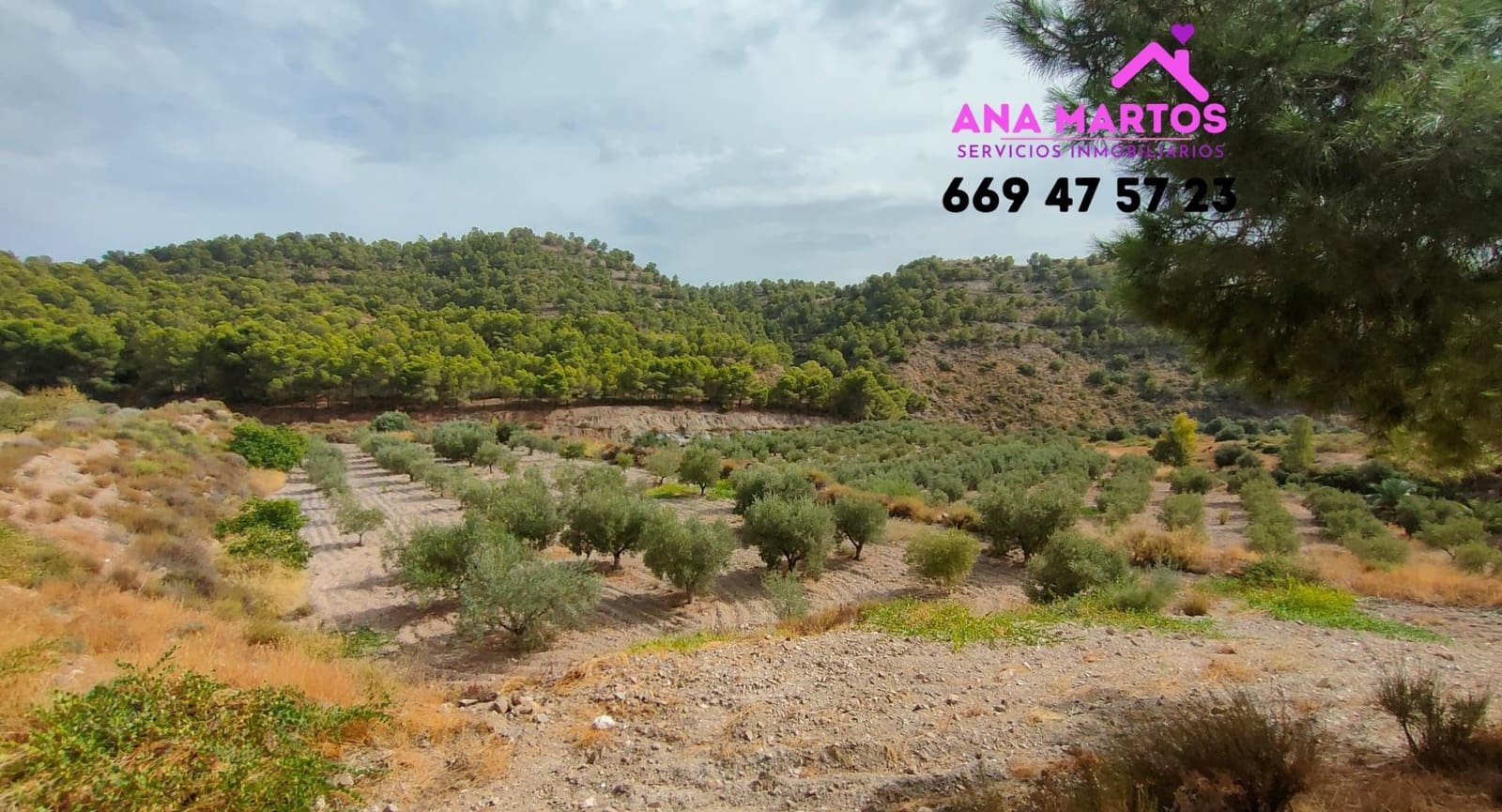 3 soveværelse Finca/Landehus til salg i Aguilas - € 400.000 (Ref: 7081484)