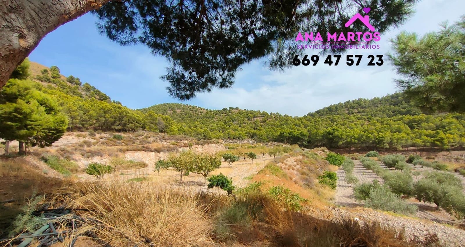 3 soveværelse Finca/Landehus til salg i Aguilas - € 400.000 (Ref: 7081484)