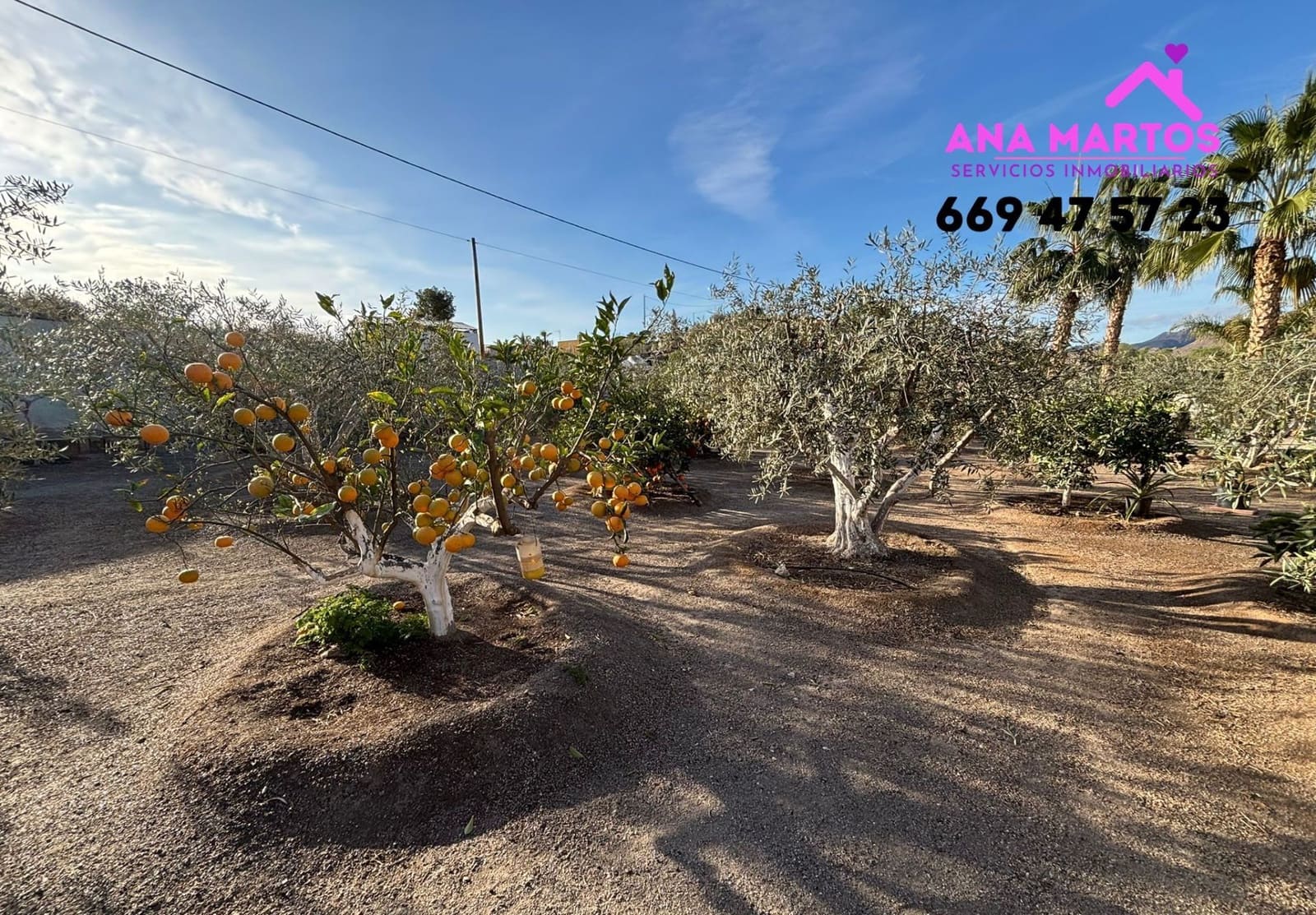 3 camera da letto Finca/Casa di Campagna in vendita in Aguilas con piscina garage - 312.000 € (Rif: 8714491)