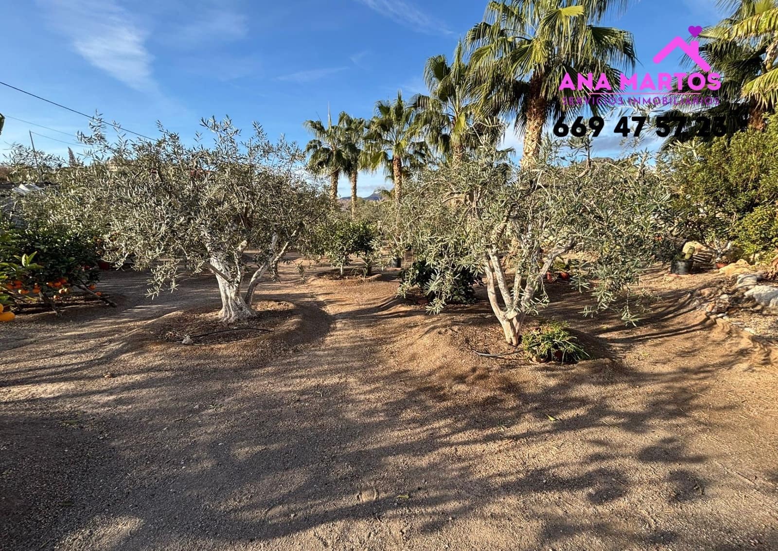 3 camera da letto Finca/Casa di Campagna in vendita in Aguilas con piscina garage - 312.000 € (Rif: 8714491)