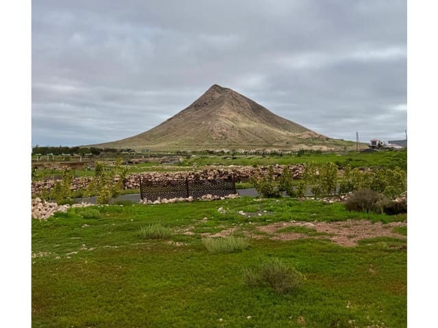 Grond te koop in Tindaya, La Oliva - € 195.000 (Ref: 9499787)