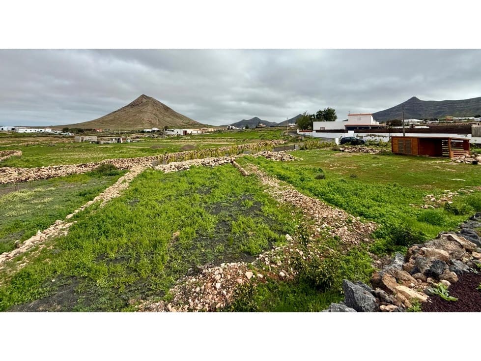 Grond te koop in Tindaya - € 185.000 (Ref: 9499787)