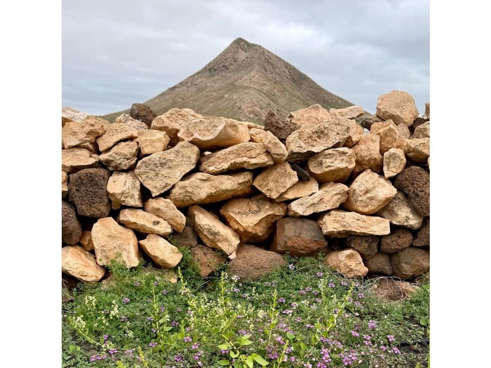 Grond te koop in Tindaya - € 185.000 (Ref: 9499787)