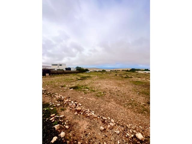 Mark till salu i Tindaya, La Oliva - 210 000 € (Ref: 9499790)