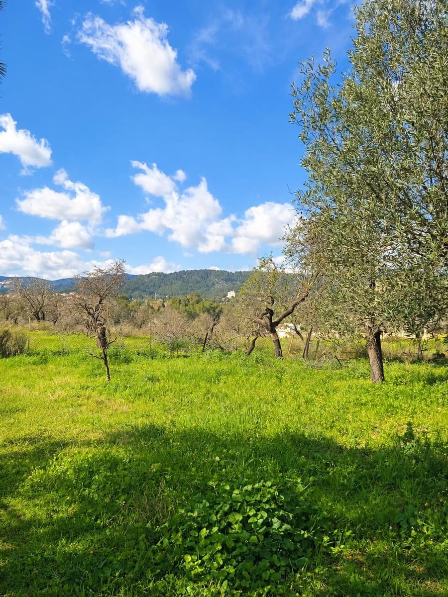 5 soverom Finca/Herregård til salgs i Palma de Mallorca med garasje - € 890 000 (Ref: 10174013)