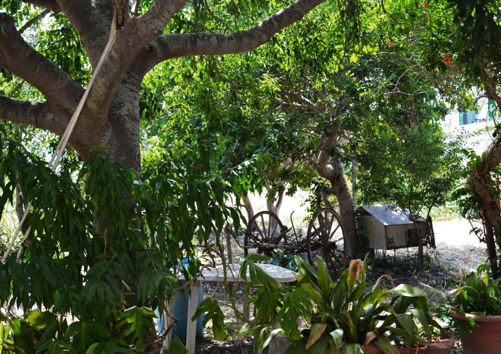 5 soverom Finca/Herregård til salgs i Palma de Mallorca med garasje - € 890 000 (Ref: 10174013)