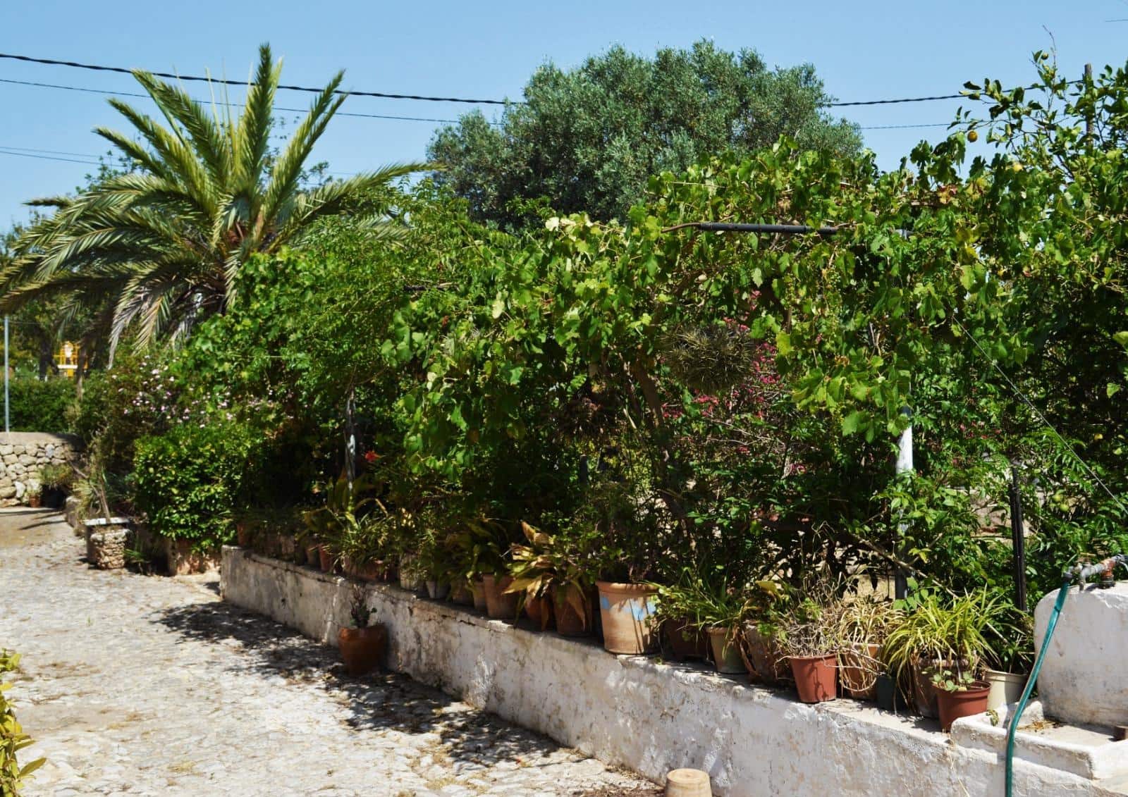5 soverom Finca/Herregård til salgs i Palma de Mallorca med garasje - € 890 000 (Ref: 10174013)