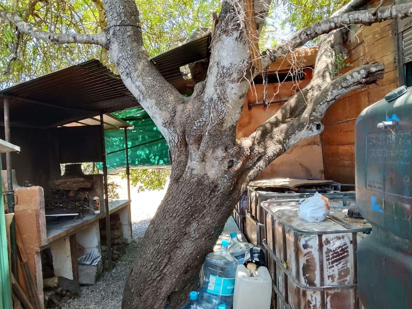 1 soverom Finca/Herregård til salgs i Llubi - € 118 900 (Ref: 10187151)