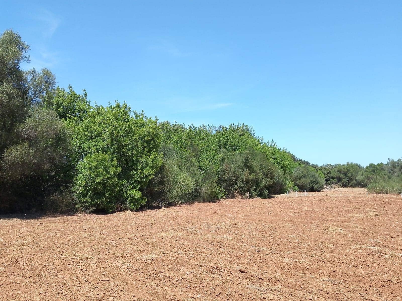1 soverom Finca/Herregård til salgs i Llubi - € 118 900 (Ref: 10187151)