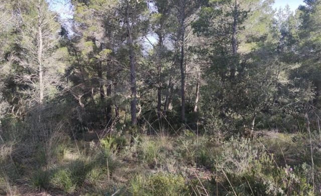 Grunde uden byggetilladelser til salg i Felanitx - € 19.000 (Ref: 9278334)