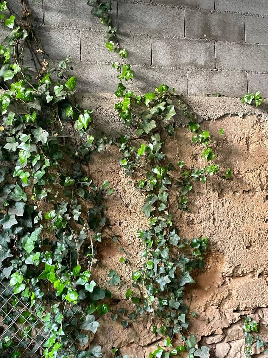 3 chambre Maison de Ville à vendre à Porreres avec garage - 265 000 € (Ref: 9278339)