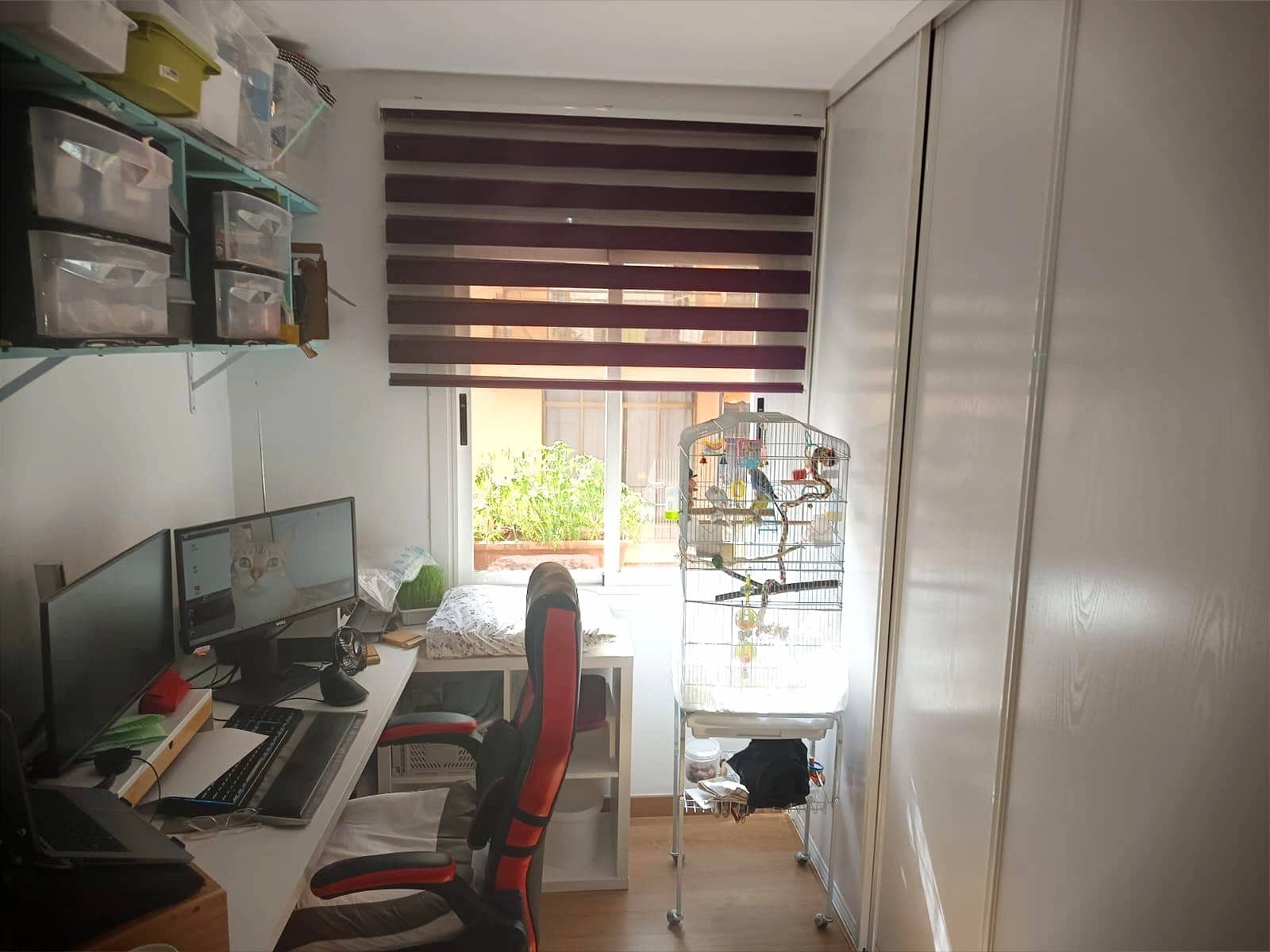 4 Zimmer Wohnung zu verkaufen in Palma de Mallorca - 540.000 € (Ref: 9278343)