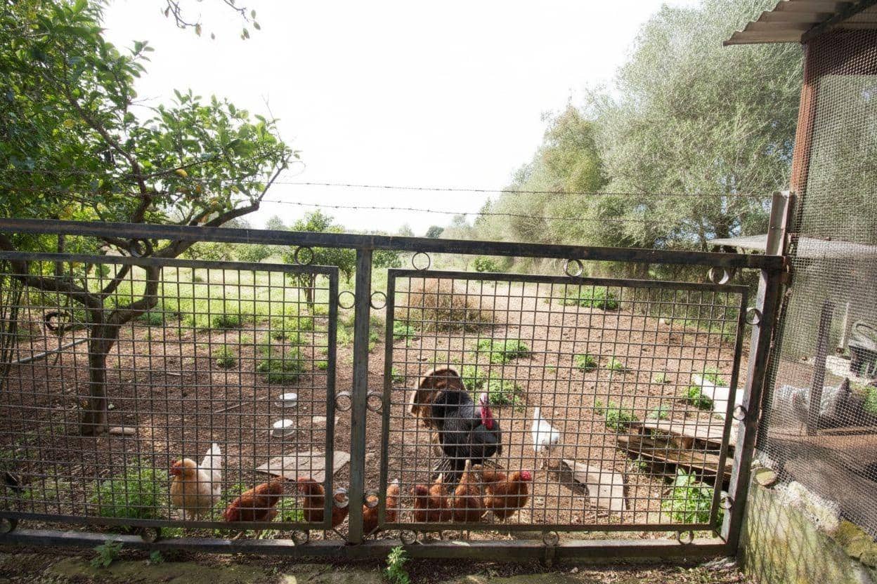 3 camera da letto Finca/Casa di Campagna in vendita in Algaida con piscina garage - 530.000 € (Rif: 9591323)