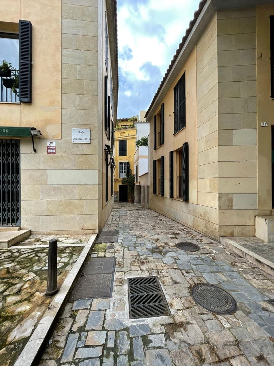 2 soveværelse Lejlighed til leje i Palma de Mallorca - € 1.100 (Ref: 9601187)