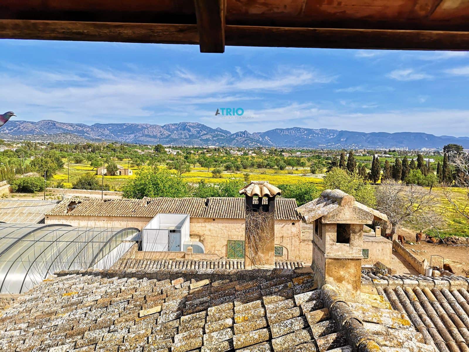 15 soveværelse Villa til salg i Establiments med swimmingpool garage - € 6.900.000 (Ref: 7664730)