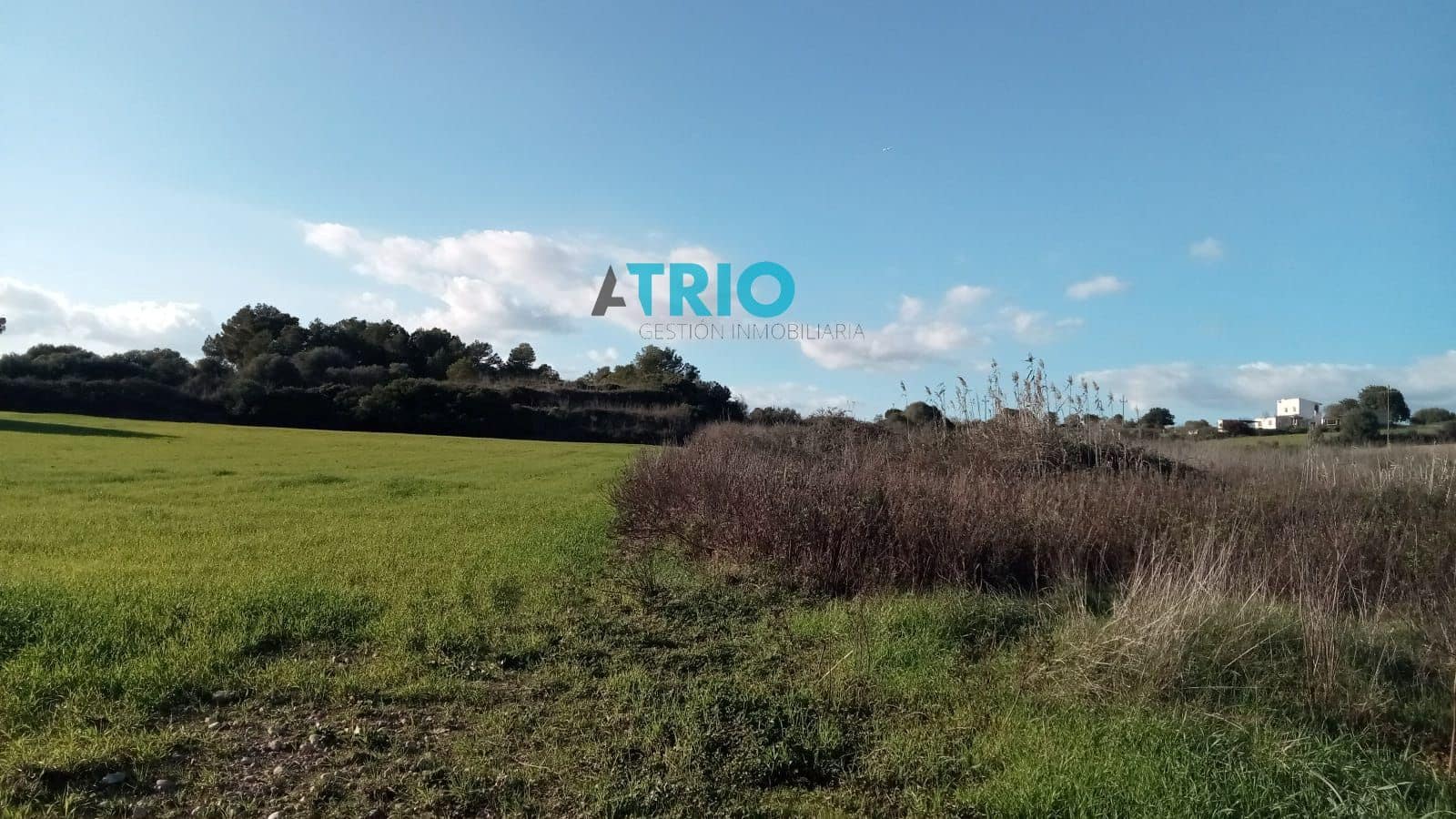 Tomt till salu i Santa Margalida - 35 000 € (Ref: 7664745)