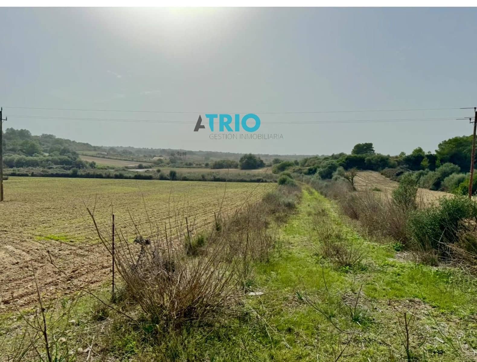 Tomt till salu i Santa Margalida - 35 000 € (Ref: 7664745)