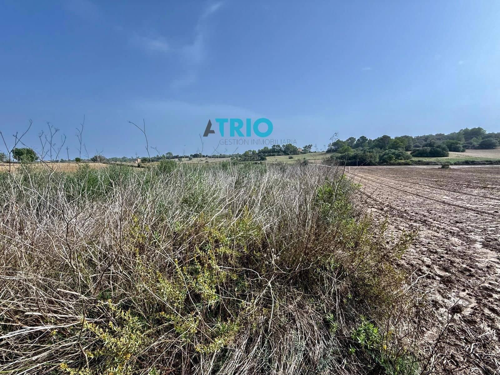 Tomt till salu i Santa Margalida - 35 000 € (Ref: 7664745)