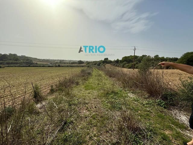Building Plot for sale in Santa Margalida - € 35,000 (Ref: 7664745)