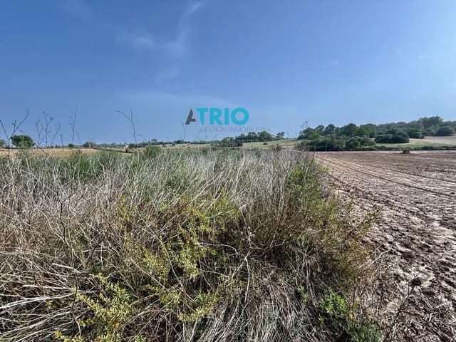 Building Plot for sale in Santa Margalida - € 35,000 (Ref: 7664745)