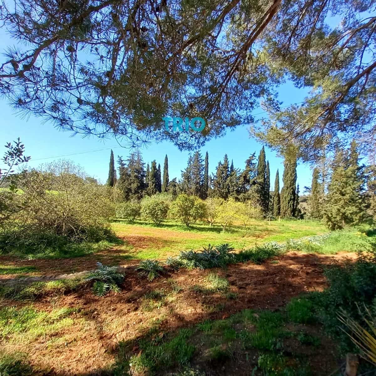 7 soverom Villa til salgs i Sencelles med svømmebasseng garasje - € 975 000 (Ref: 8213321)