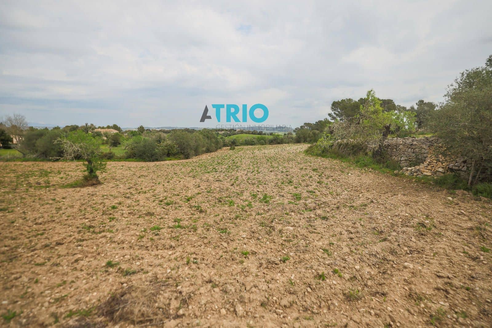 1 bedroom Villa for sale in Algaida - € 370,000 (Ref: 8901263)