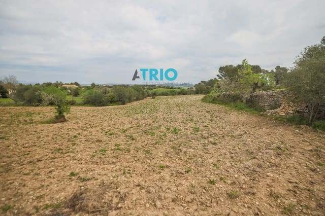 1 soverom Villa til salgs i Algaida - € 370 000 (Ref: 8901263)