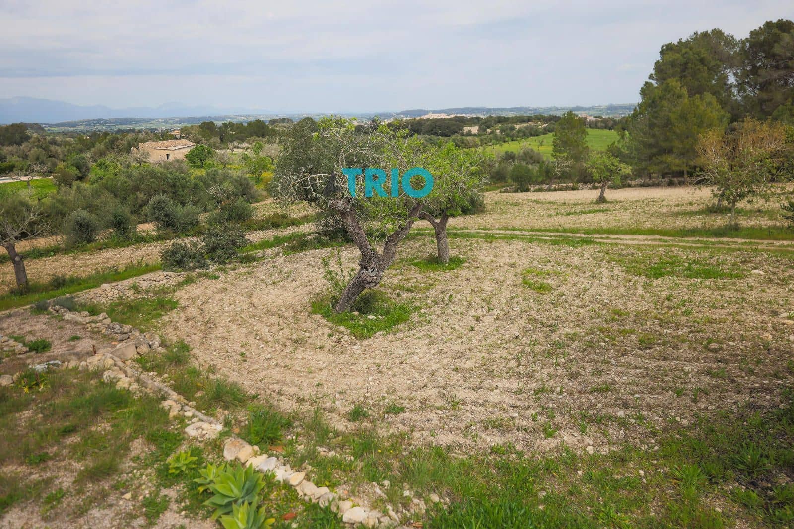 1 bedroom Villa for sale in Algaida - € 370,000 (Ref: 8901263)