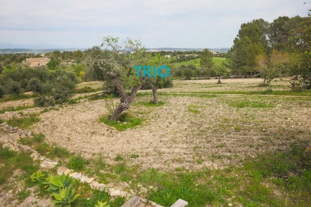 1 soverom Villa til salgs i Algaida - € 370 000 (Ref: 8901263)