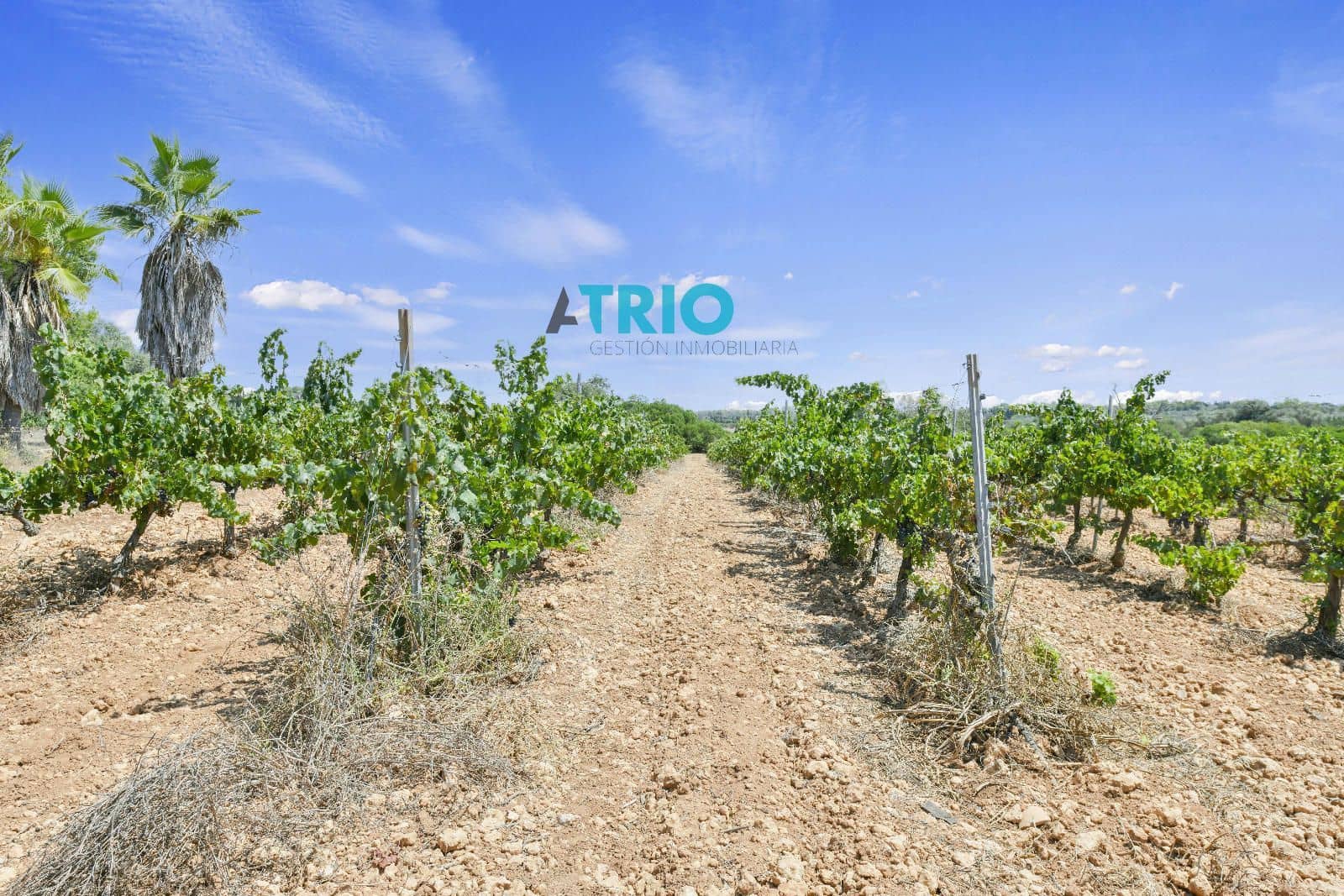 4 bedroom Villa for sale in Sencelles with pool - € 1,650,000 (Ref: 9103396)