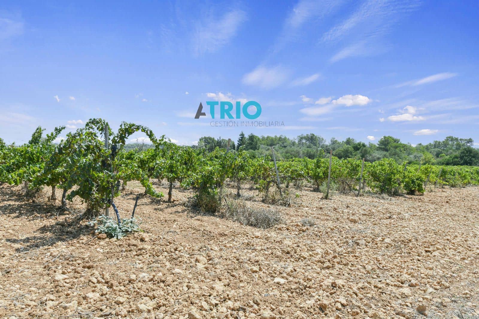 4 bedroom Villa for sale in Sencelles with pool - € 1,650,000 (Ref: 9103396)