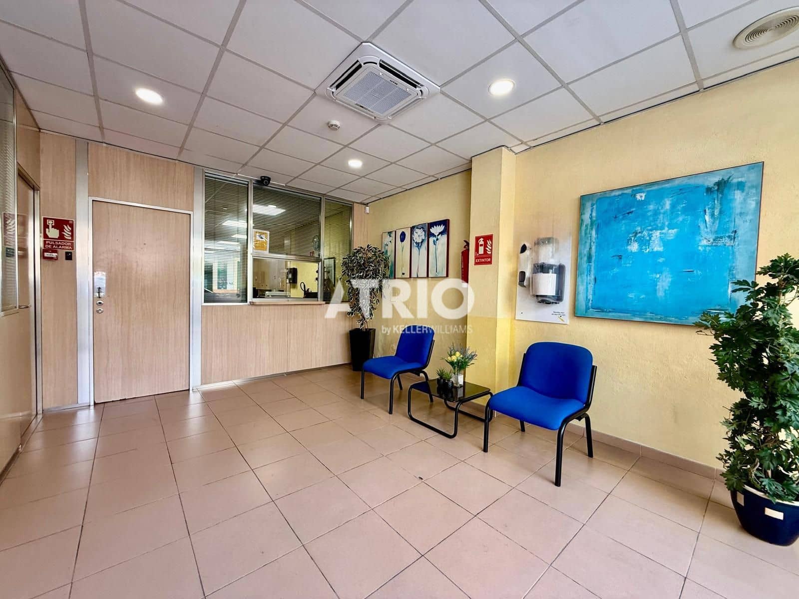 Commercial for sale in Palma de Mallorca - € 520,000 (Ref: 9115445)
