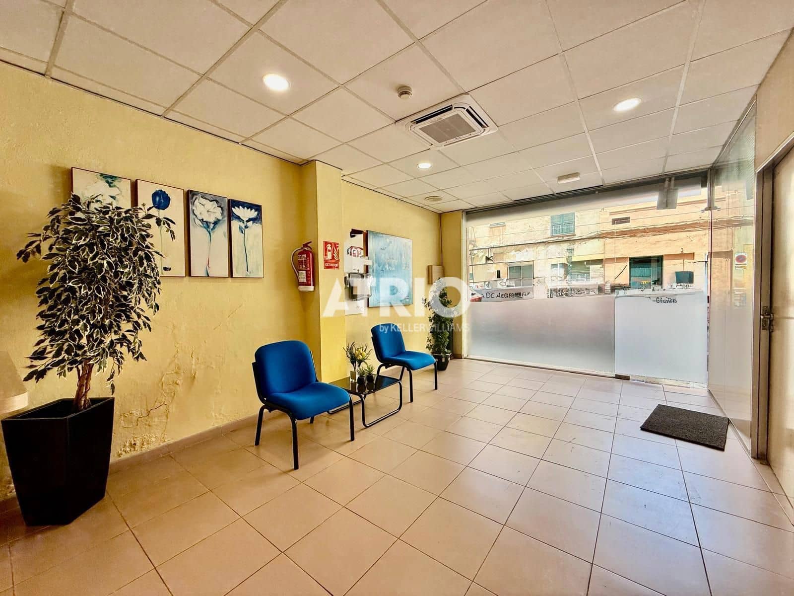 Commercial for sale in Palma de Mallorca - € 520,000 (Ref: 9115445)