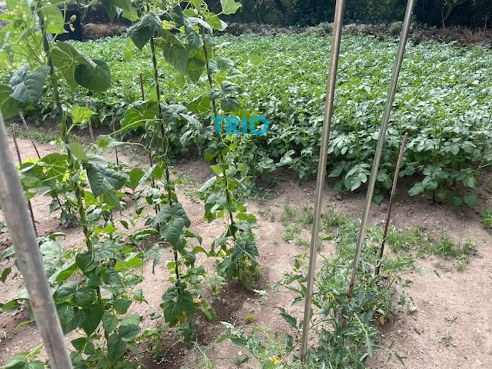 4 soveværelse Villa til salg i Burgos by - € 62.000 (Ref: 9131787)