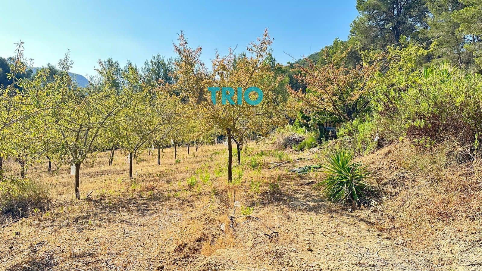 Tomt till salu i Algaida - 78 000 € (Ref: 9138426)