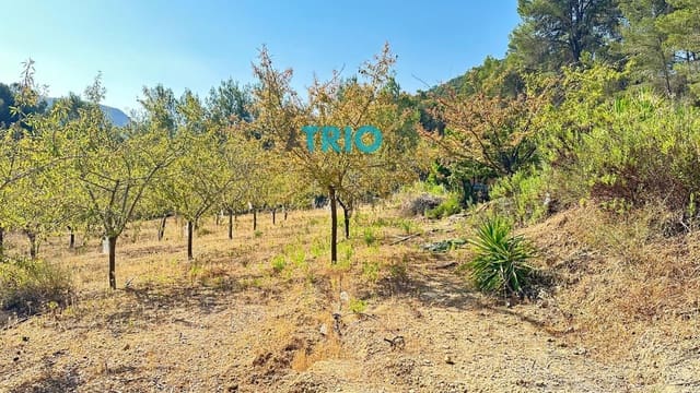 Tomt till salu i Algaida - 78 000 € (Ref: 9138426)