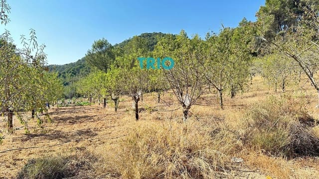 Tomt till salu i Algaida - 78 000 € (Ref: 9138426)