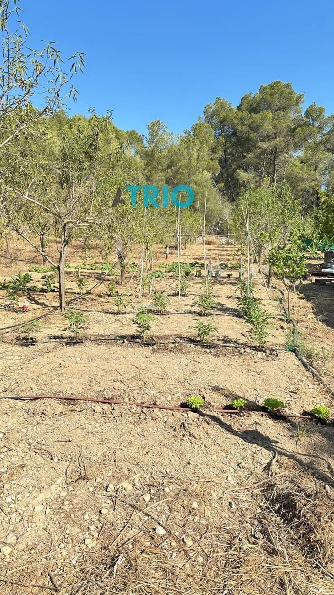 Tomt till salu i Algaida - 78 000 € (Ref: 9138426)