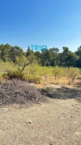 Tomt till salu i Algaida - 78 000 € (Ref: 9138426)