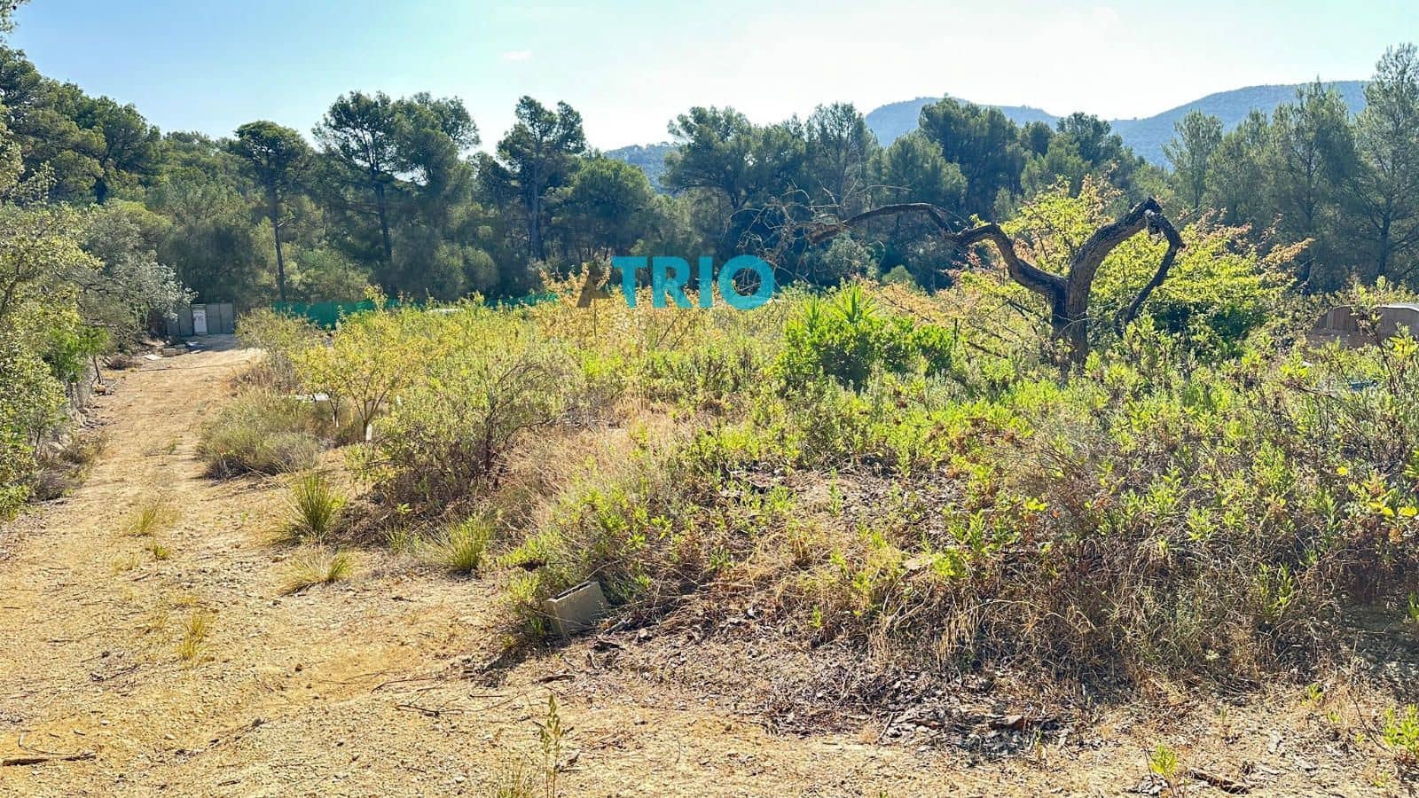 Tomt till salu i Algaida - 78 000 € (Ref: 9138426)