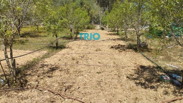 Tomt till salu i Algaida - 78 000 € (Ref: 9138426)