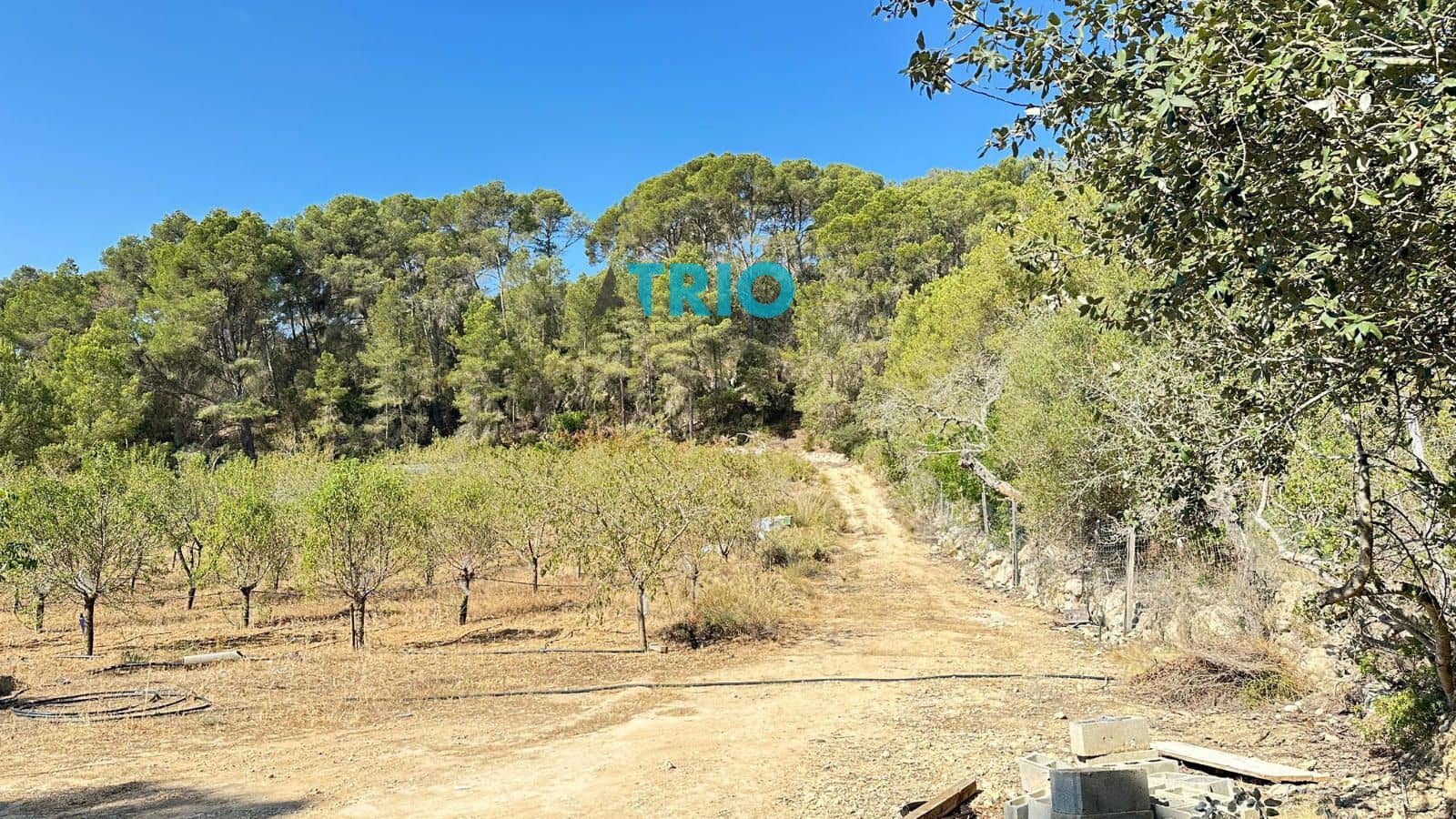 Tomt till salu i Algaida - 78 000 € (Ref: 9138426)