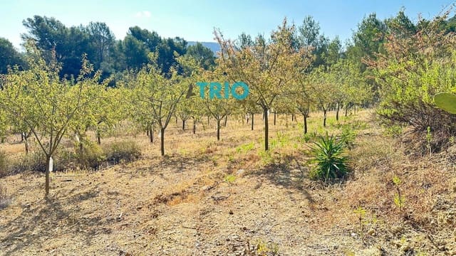 Building Plot for sale in Algaida - € 78,000 (Ref: 9138426)